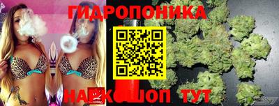 меф Кимры