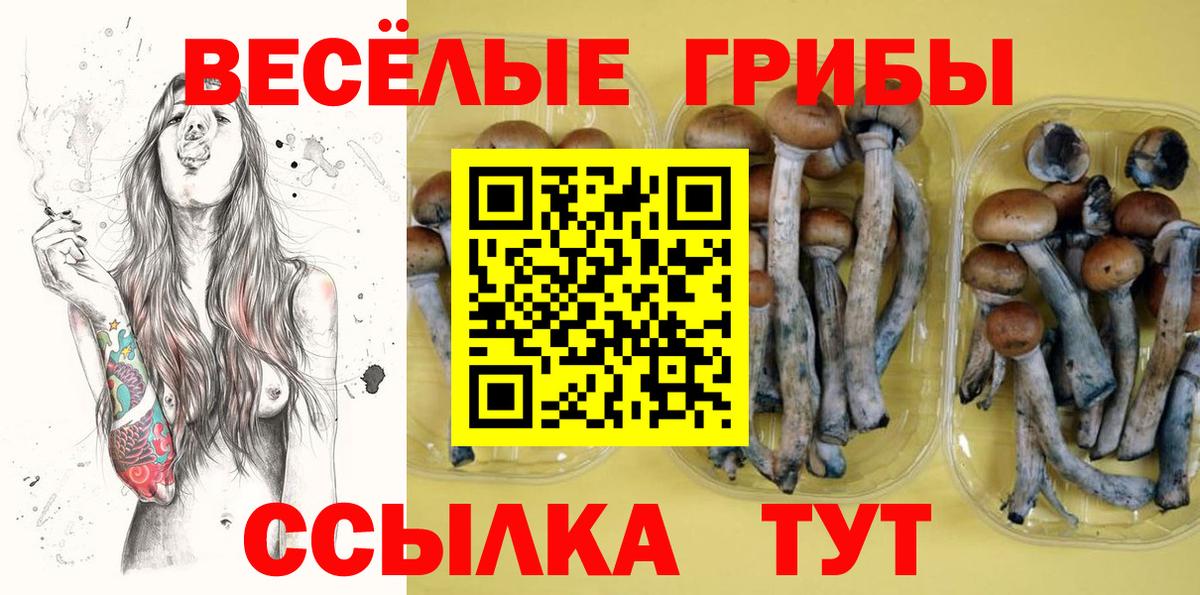 Галлюциногенные грибы мухоморы Канаш